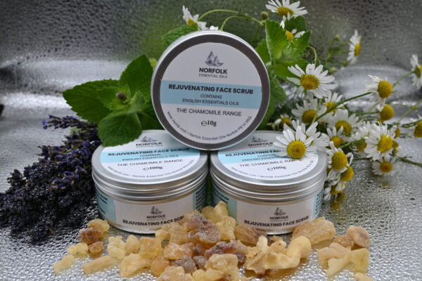 DSC_0316-scaled Facial Scrub