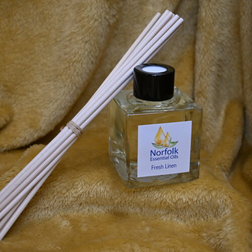 DSC_0479 Reed Diffuser