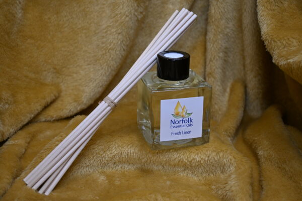 DSC_0479 Reed Diffuser