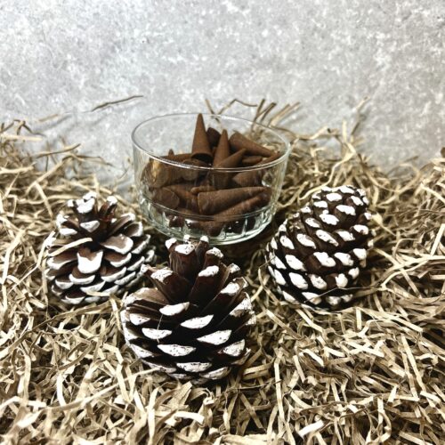 Cinnamon Incense Cones