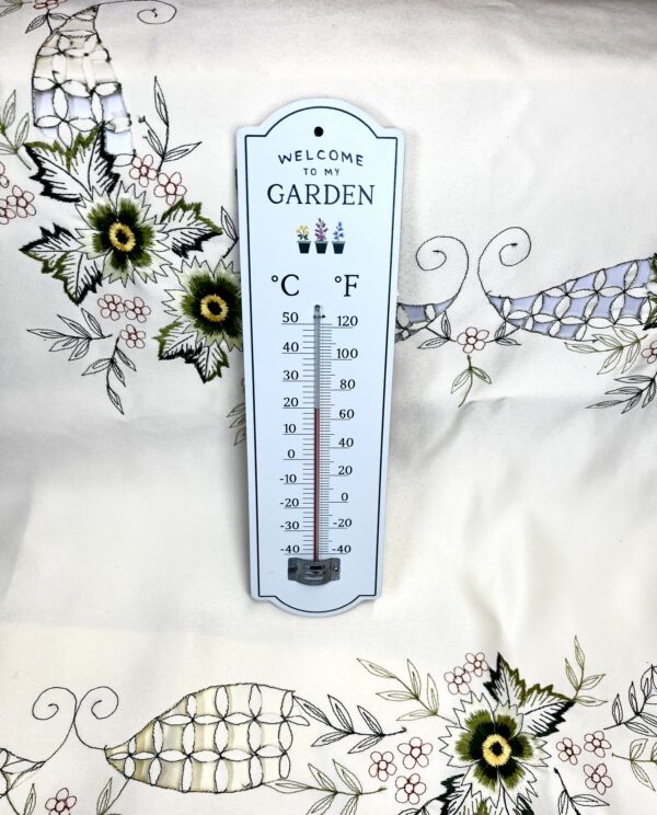 IMG_7734 Garden Wall Thermometer