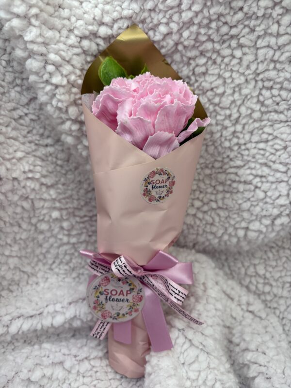 carnation 1 Single Carnation Soap Bouquet